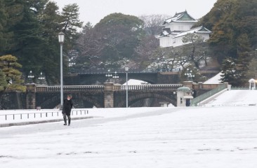 जापान की राजधानी टोक्यो में भारी बर्फबारी, सड़क, रेल और हवाई परिवहन प्रभावित, बिजली गुल
