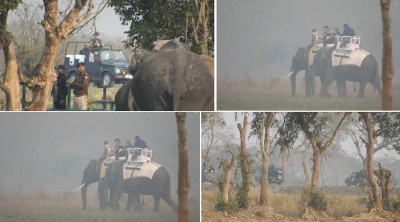 काजीरंगा राष्ट्रीय उद्यान में प्रधानमंत्री ने की हाथी की सवारी