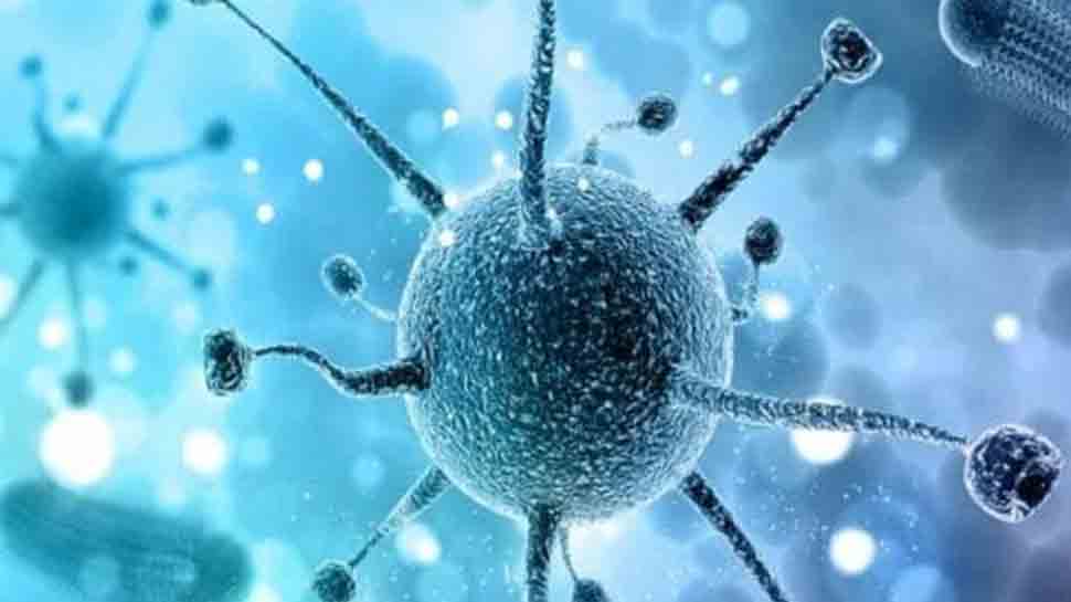 लद्दाख में कोरोना वायरस संक्रमण के तीन नए मामले , कुल संख्या 963 हुई