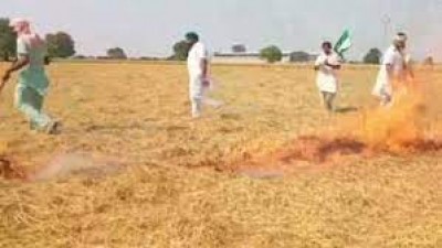 पंजाब में पराली नहीं जलाने वाले 150 किसान सम्मानित