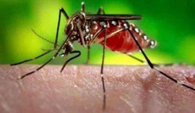 दिल्ली में इस साल डेंगू के मामले 7,100 के पार; महज नवंबर में आए 5,600 मामले