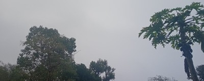 झारखंड में 30 और 31 मार्च को बारिश की संभावना
