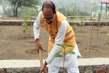 भोपाल: पूर्व मुख्यमंत्री शिवराज के पौधारोपण के संकल्प का चौथा साल शुरू, तीन सालों में लगाए 3238 पौधे