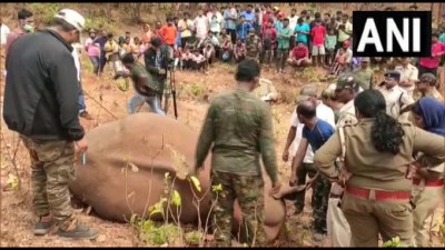 ओडिशा:क्योंझर के जंगल में करंट लगने से एक वयस्क हाथी की मृत्यु हुई।