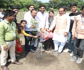  मुख्यमंत्री चौहान के साथ जन-प्रतिनिधियों ने लगाए पौधे