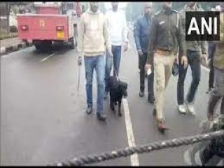 बम की धमकी के बाद चंडीगढ़ जिला अदालत को खाली कराया गया, तलाश अभियान जारी