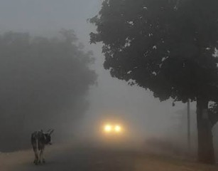 सोमवार बंगाल में मौसम का सबसे ठंडा दिन, तापमान 14 डिग्री