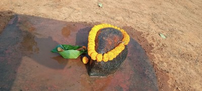 झारखंड के खूंटी जिले के गोरेया यादव समाज में गोवर्धन पूजा की लुप्त होती अनूठी परंपरा
